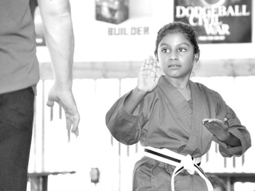 Dojo Karate Classes