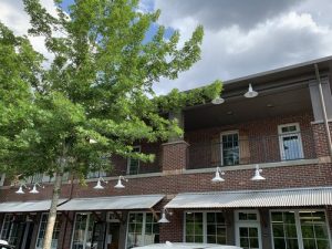 Milton Dojo